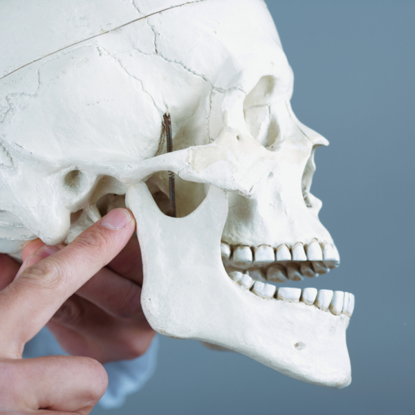 Stawy skroniowo-żuchwowe kurs