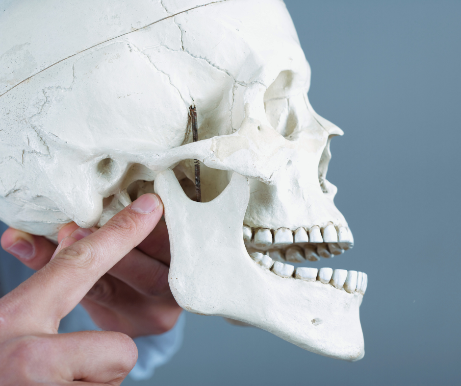 Stawy skroniowo-żuchwowe kurs