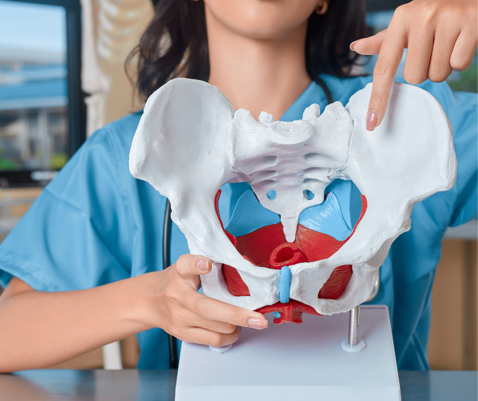 Terapia dna miednicy